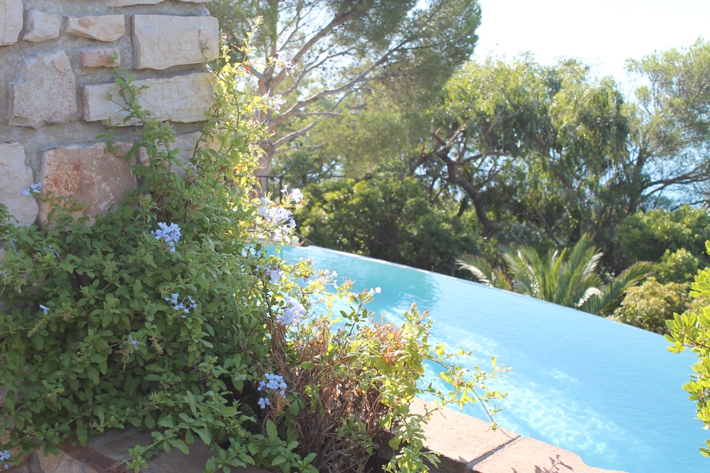 La vue de la terrasse